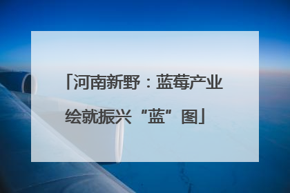 河南新野：蓝莓产业绘就振兴“蓝”图
