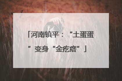 河南镇平：“土蛋蛋”变身“金疙瘩”