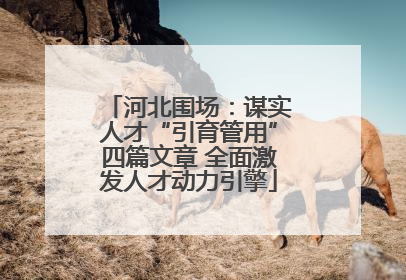 河北围场：谋实人才“引育管用”四篇文章 全面激发人才动力引擎