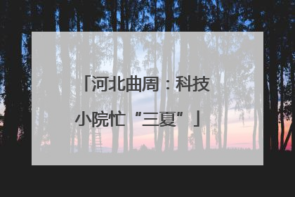 河北曲周：科技小院忙“三夏”