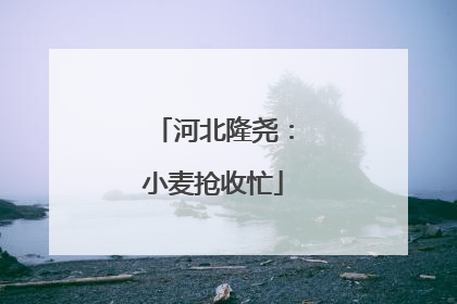 河北隆尧：小麦抢收忙