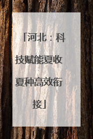 河北：科技赋能夏收夏种高效衔接