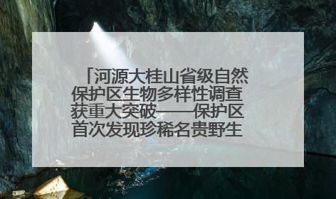 河源大桂山省级自然保护区生物多样性调查获重大突破——保护区首次发现珍稀名贵野生干巴菌与钝尾两头蛇