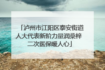 泸州市江阳区泰安街道人大代表新阶力量润桑梓 二次医保暖人心