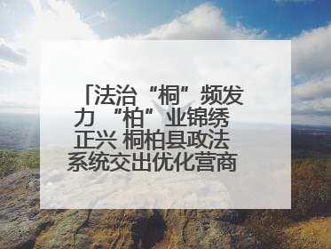法治“桐”频发力 “柏”业锦绣正兴 桐柏县政法系统交出优化营商环境“成绩单”