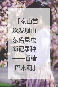 泰山首次发现山东省昆虫新记录种——香椿巴木虱