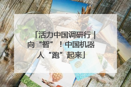 活力中国调研行｜向“智”！中国机器人“跑”起来