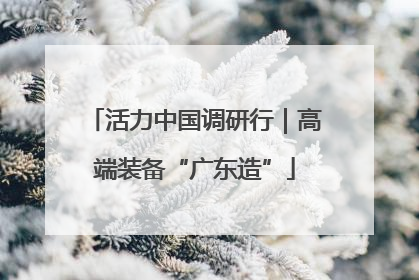 活力中国调研行｜高端装备“广东造”