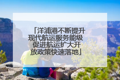 洋浦港不断提升现代航运服务能级 促进航运扩大开放政策快速落地