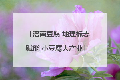 洛南豆腐 地理标志赋能 小豆腐大产业
