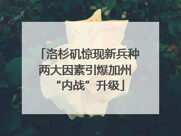 洛杉矶惊现新兵种 两大因素引爆加州“内战”升级