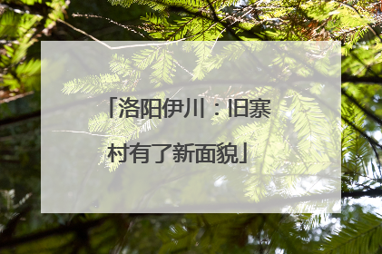 洛阳伊川：旧寨村有了新面貌