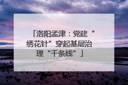 洛阳孟津：党建“绣花针”穿起基层治理“千条线”