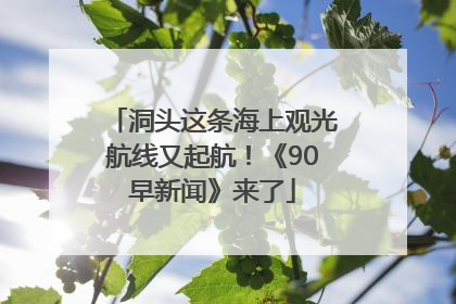 洞头这条海上观光航线又起航！《90早新闻》来了