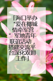 海口举办“爱在椰城 情牵军营”军地青年联谊活动，搭建交流平台深化双拥工作
