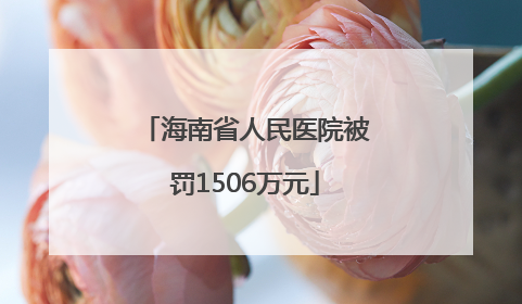 海南省人民医院被罚1506万元