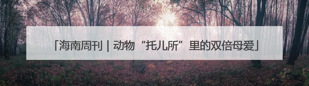 海南周刊｜动物“托儿所”里的双倍母爱