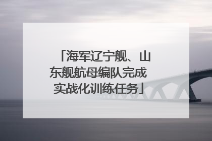 海军辽宁舰、山东舰航母编队完成实战化训练任务
