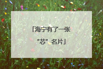 海宁有了一张“芯”名片