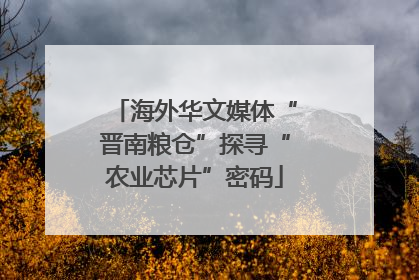 海外华文媒体“晋南粮仓”探寻“农业芯片”密码