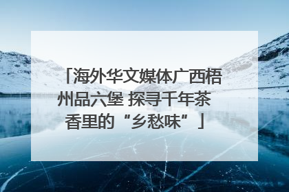 海外华文媒体广西梧州品六堡 探寻千年茶香里的“乡愁味”