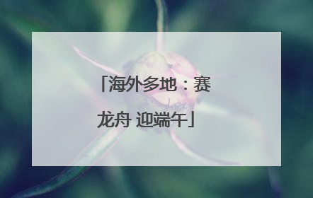 海外多地：赛龙舟 迎端午