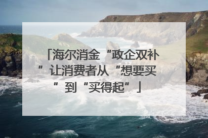 海尔消金“政企双补”让消费者从“想要买”到“买得起”