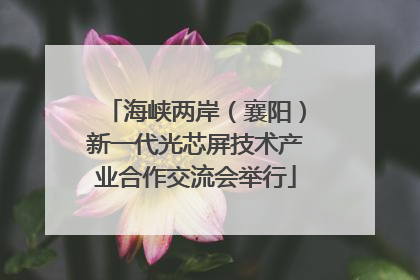 海峡两岸（襄阳）新一代光芯屏技术产业合作交流会举行