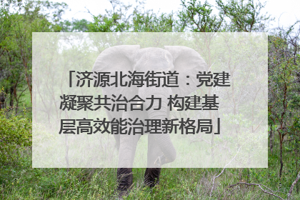 济源北海街道：党建凝聚共治合力 构建基层高效能治理新格局