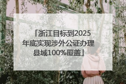 浙江目标到2025年底实现涉外公证办理县域100%覆盖