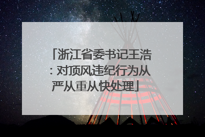 浙江省委书记王浩：对顶风违纪行为从严从重从快处理