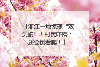 浙江一地惊现“双头蛇”！村民吓懵：还会倒着爬！