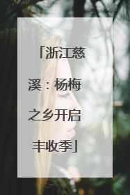 浙江慈溪：杨梅之乡开启丰收季