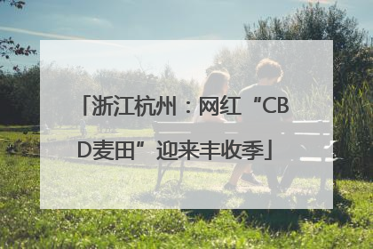 浙江杭州：网红“CBD麦田”迎来丰收季