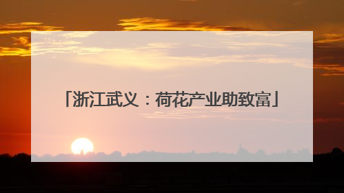 浙江武义：荷花产业助致富