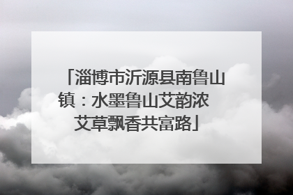 淄博市沂源县南鲁山镇：水墨鲁山艾韵浓 艾草飘香共富路