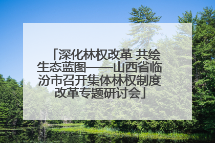 深化林权改革 共绘生态蓝图——山西省临汾市召开集体林权制度改革专题研讨会
