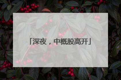 深夜，中概股高开