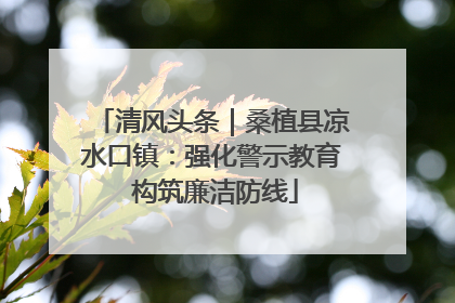 清风头条｜桑植县凉水口镇：强化警示教育 构筑廉洁防线