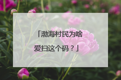 渤海村民为啥爱扫这个码？