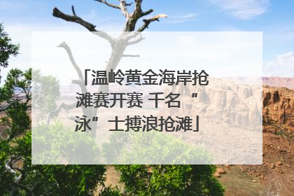 温岭黄金海岸抢滩赛开赛 千名“泳”士搏浪抢滩
