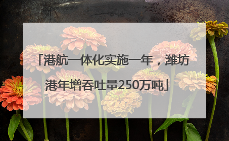 港航一体化实施一年，潍坊港年增吞吐量250万吨