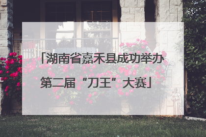 湖南省嘉禾县成功举办第二届“刀王”大赛