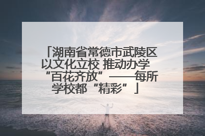 湖南省常德市武陵区以文化立校 推动办学“百花齐放”——每所学校都“精彩”
