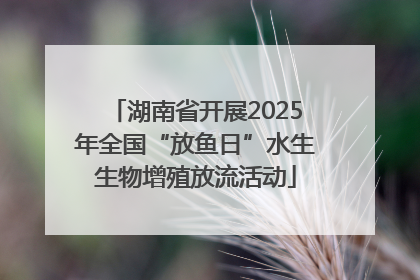 湖南省开展2025年全国“放鱼日”水生生物增殖放流活动