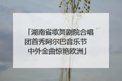 湖南省歌舞剧院合唱团首秀阿尔巴音乐节 中外金曲惊艳欧洲