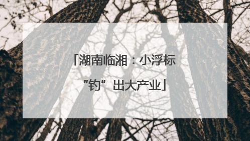 湖南临湘：小浮标“钓”出大产业