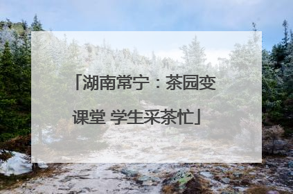 湖南常宁：茶园变课堂 学生采茶忙