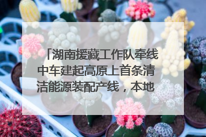 湖南援藏工作队牵线中车建起高原上首条清洁能源装配产线，本地大学生成车间检验员