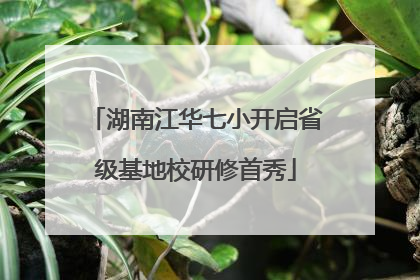 湖南江华七小开启省级基地校研修首秀